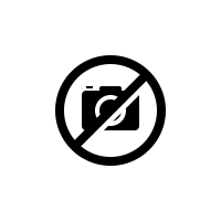 no_img